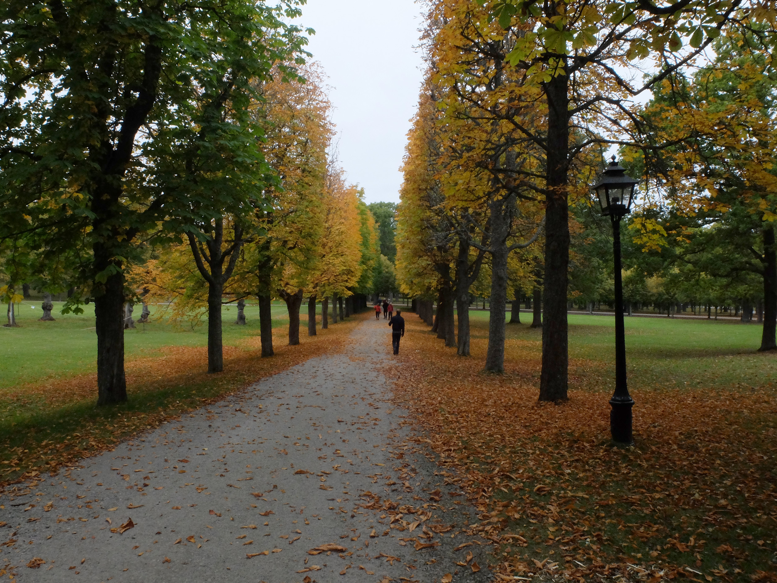 Oulun ylioppilaslehti 2015