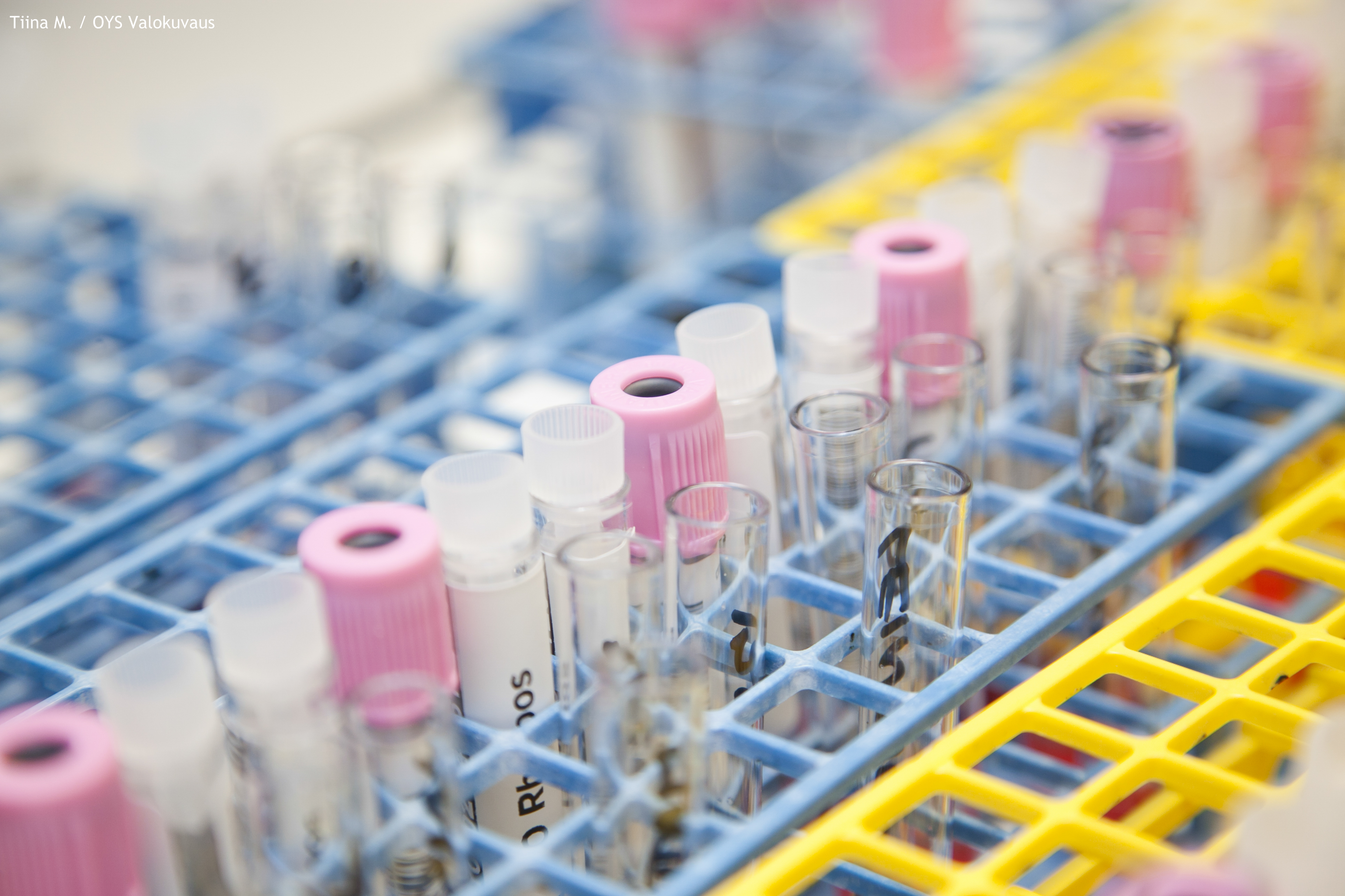 Biopankkien osuuskunta tuo käyttöön uusia tutkimusaineistoja
