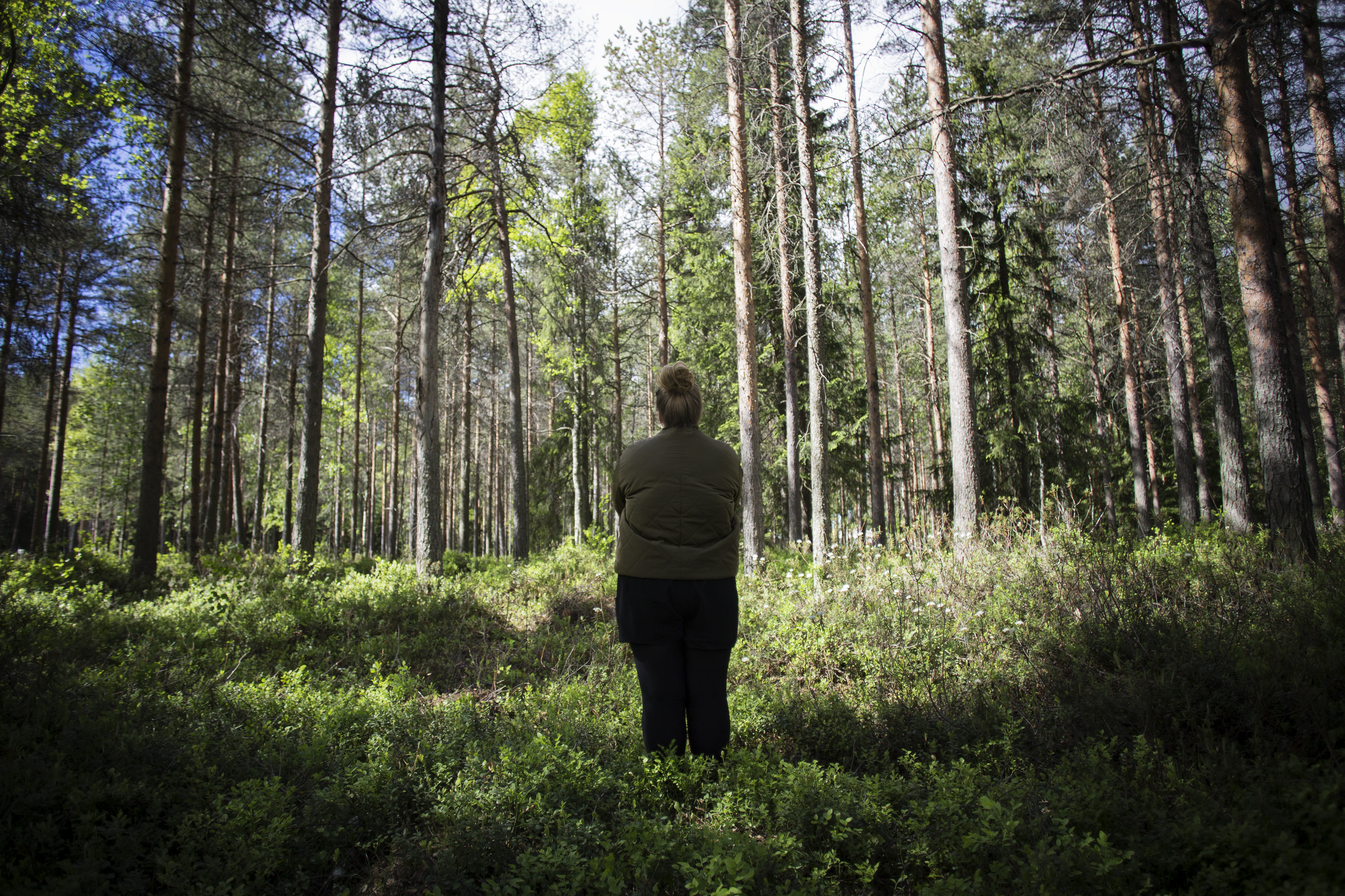 Missä ovat itä ja länsi? Luonnossa liikkuja voi käyttää ilmansuuntien arvioinnissa aurinkoa ja luonnonmerkkejä: kesällä aurinko on idässä aamulla kello 7, etelässä kello 13 ja lännessä iltaseitsemältä.