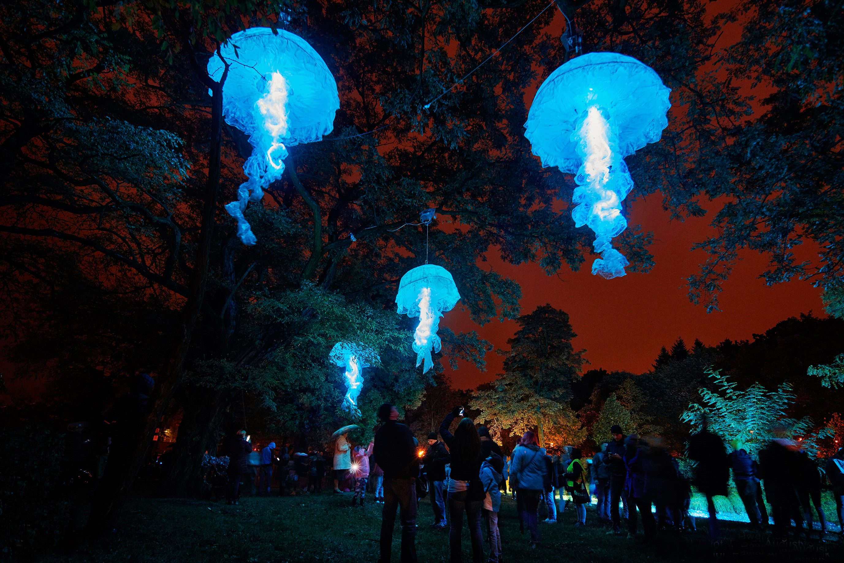 Lumo-valofestivaali valaisee Oulun keskustan ja lähiöt