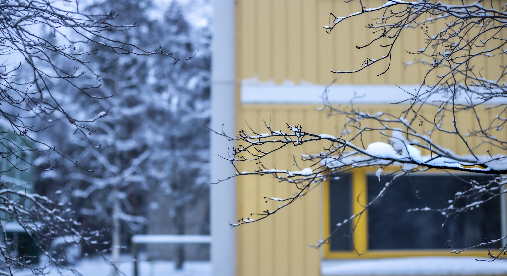 ”En ole kuullut, että kukaan vielä pelkän kynttilän valossa kotonaan asuisi” – näin sähkön korkeat hinnat vaikuttavat opiskelijan arkeen